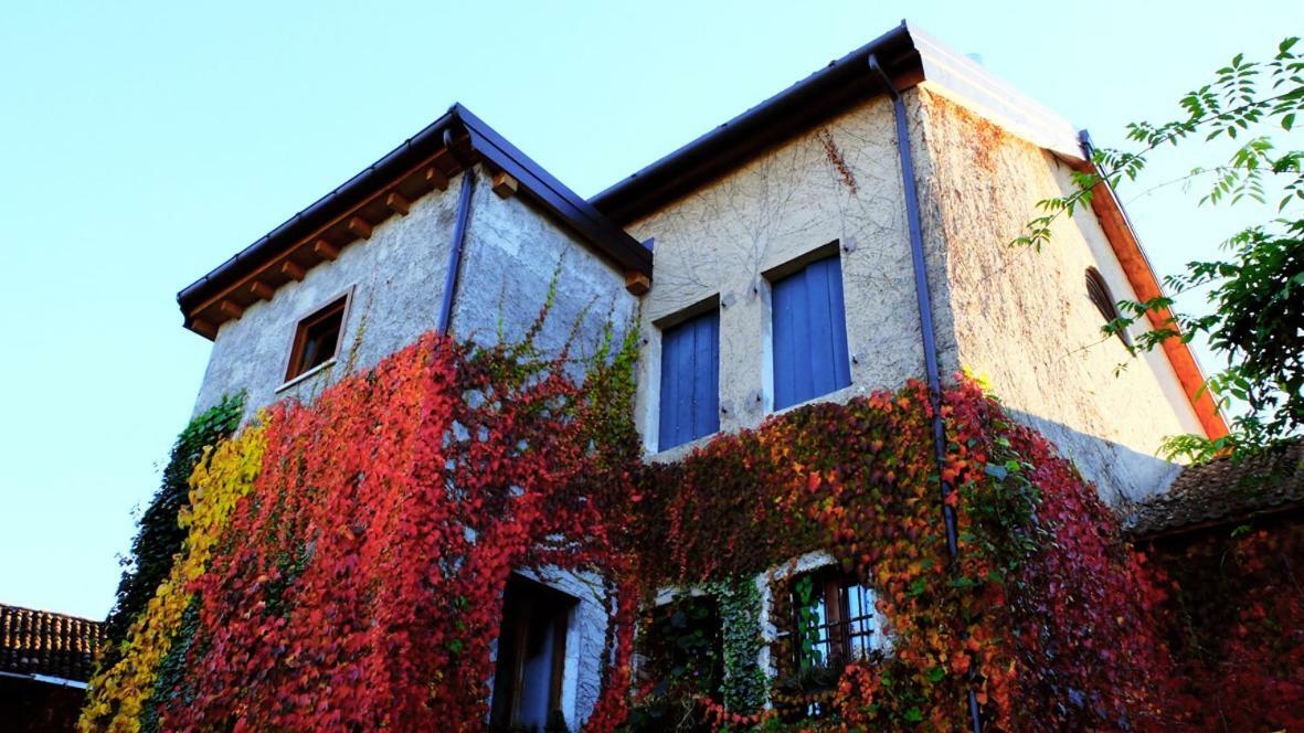 B&B Col Del Vin Belluno Exterior photo